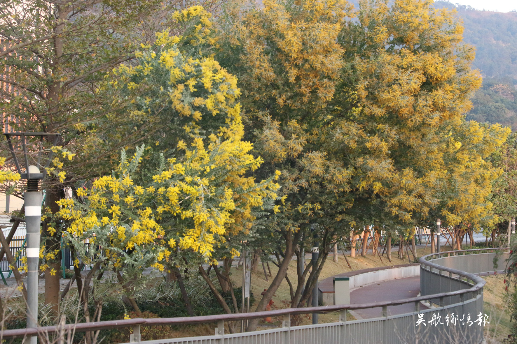  冬去千山醒 春来百花开