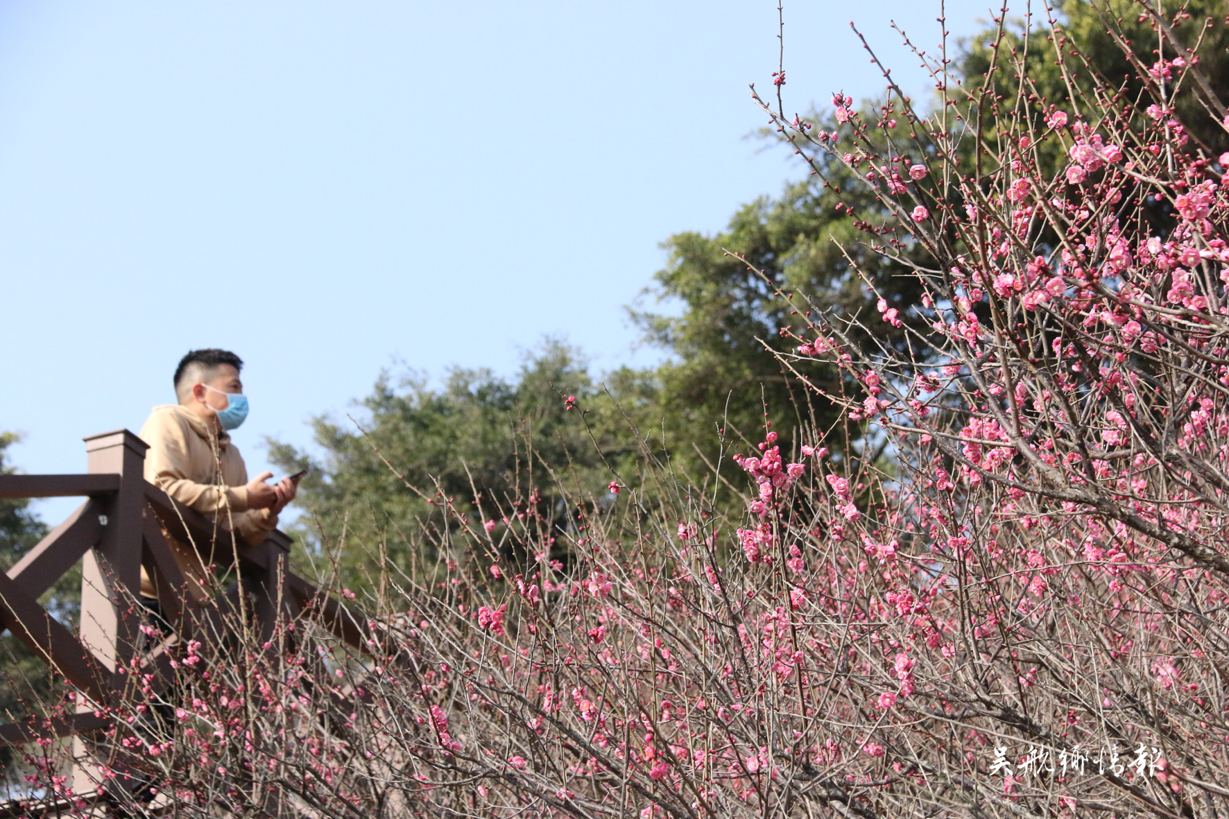  冬去千山醒 春来百花开