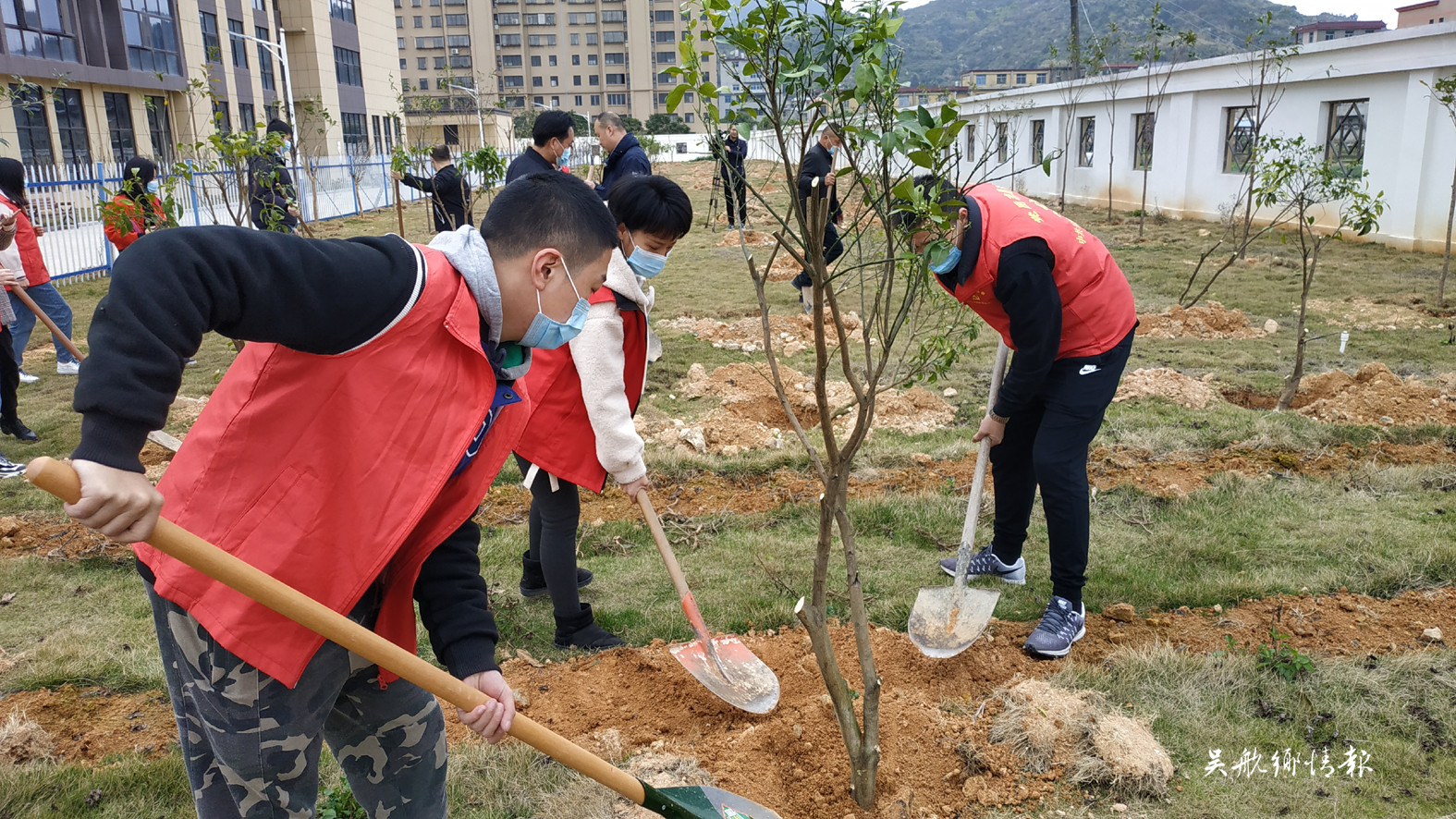 人勤春早植树忙 吴航大地添新绿