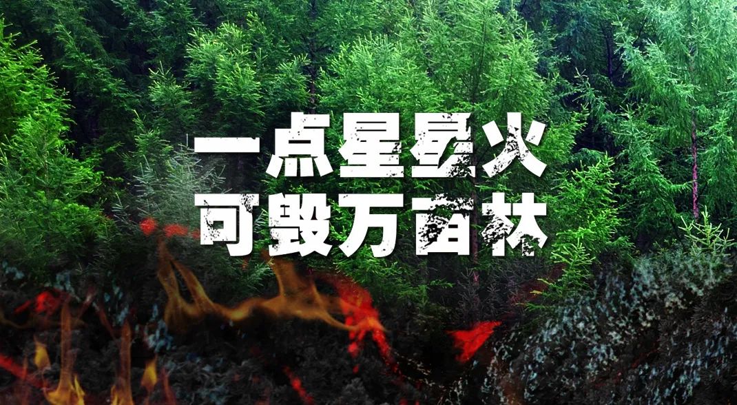 【网络中国节•清明】森林防火靠大家，清明祭扫须警惕