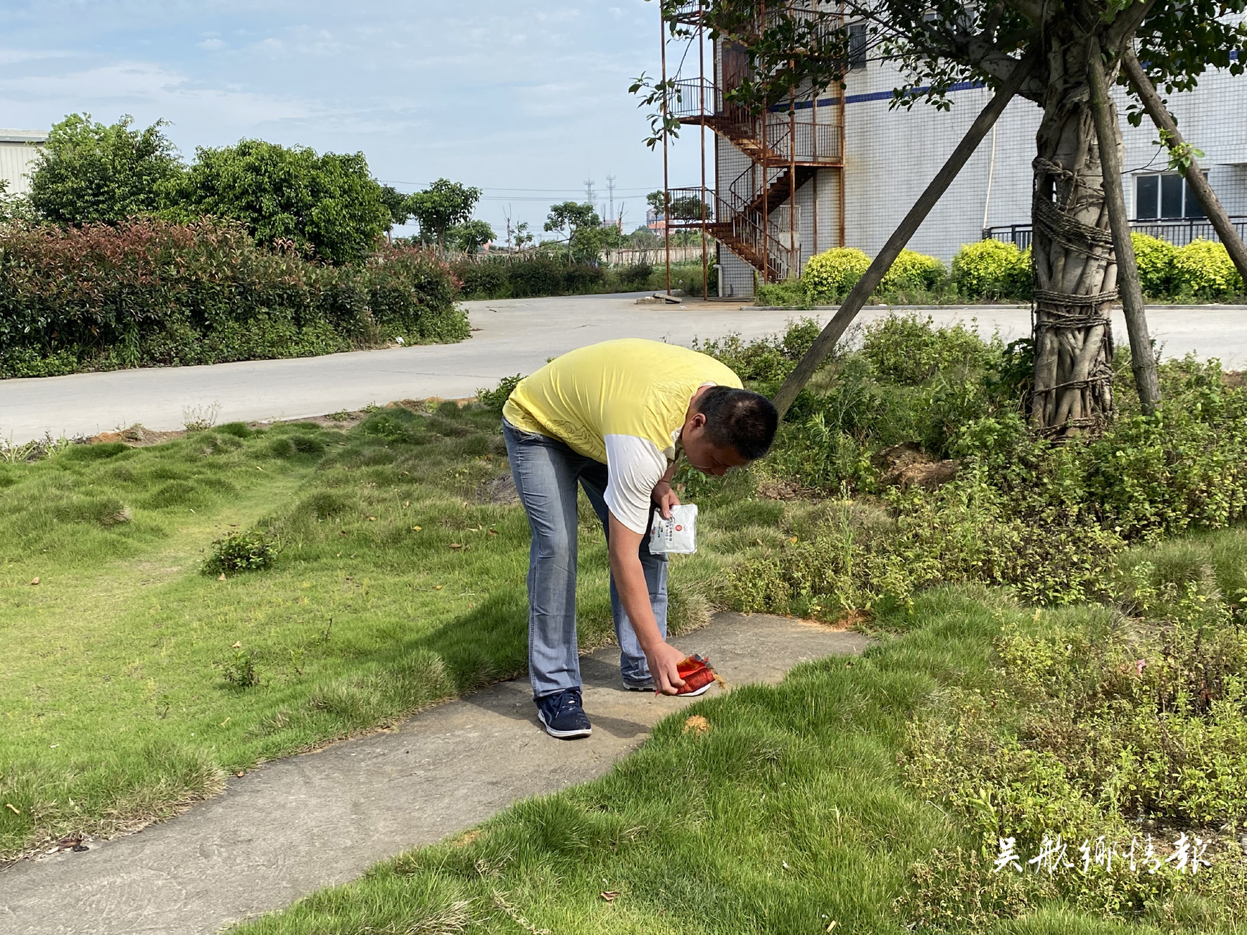 红火蚁进入活跃期 市民出行注意防范