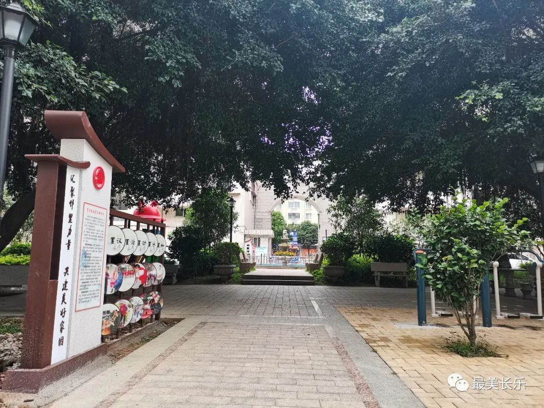 【近邻党建】小区党支部连民心 一网兜起烦心事
