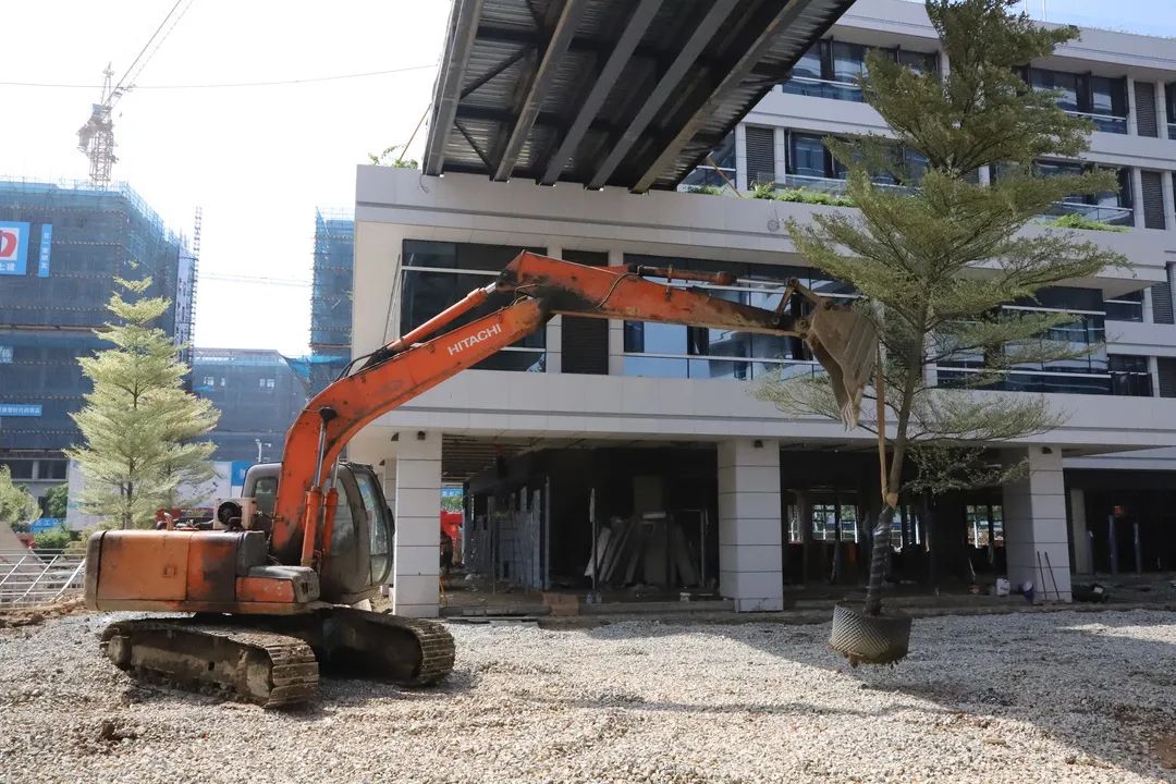 换“新装”啦！滨海新城这个项目迎来新进展