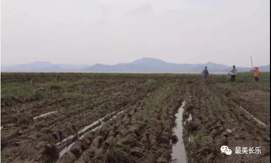 厉害！闽江河口湿地亮相世界遗产青年论坛