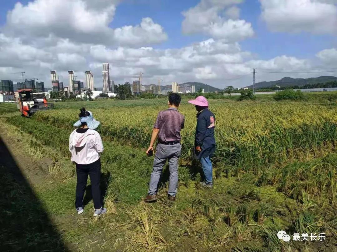 长乐：5900多名干部坚守 筑起抵御风雨“钢铁防线”