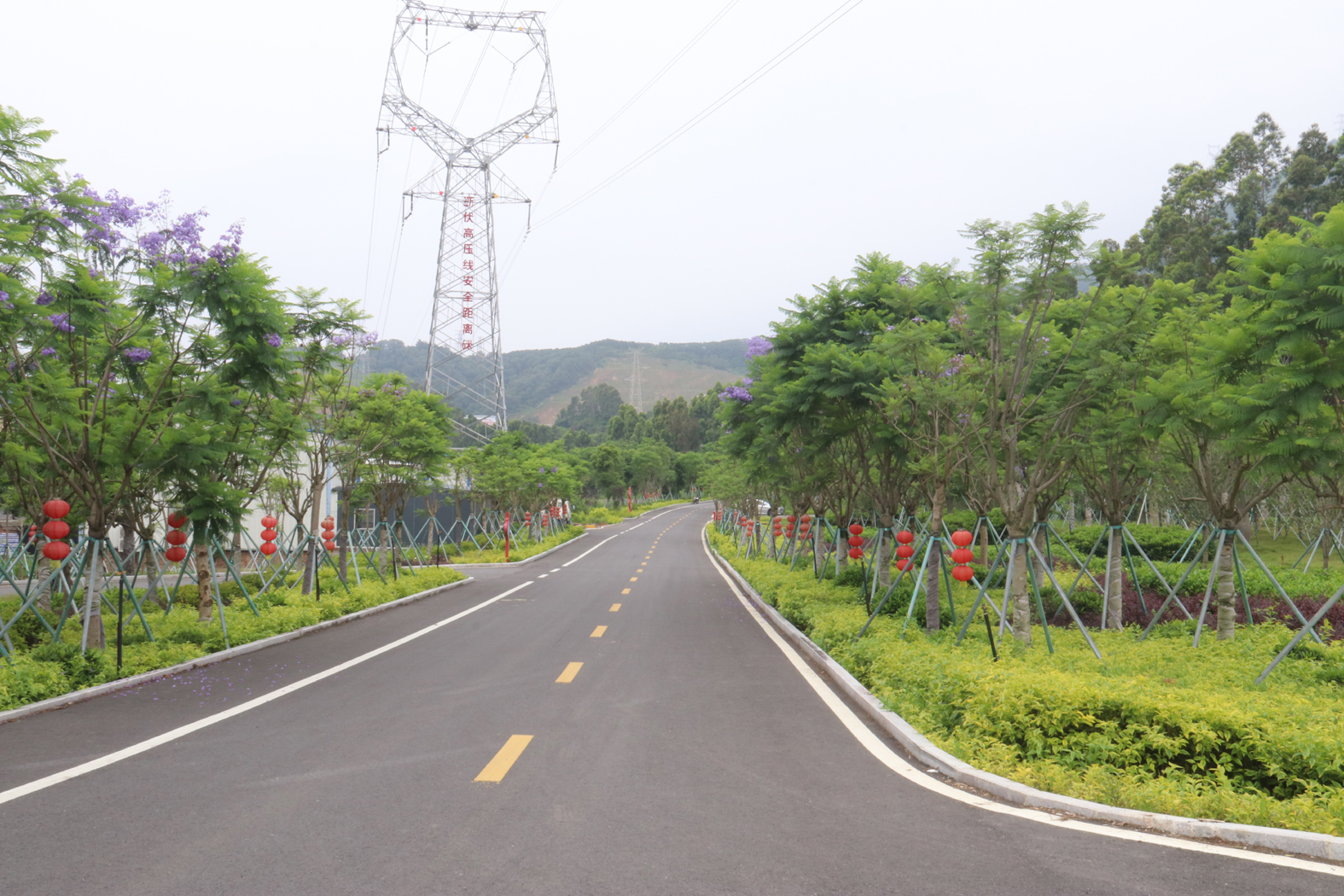 鹤上镇新览村：打造美丽乡村路 推进乡村振兴“加速度”