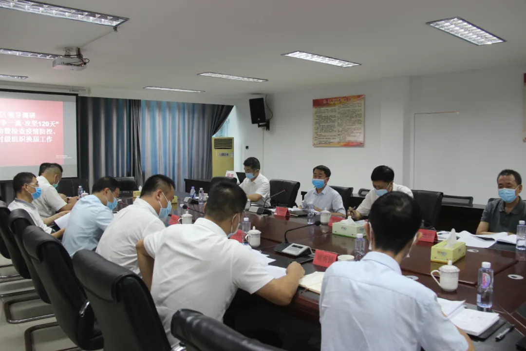 区领导调研“当先锋争一流·攻坚120天”主题活动暨检查疫情防控工作、推动村级组织换届