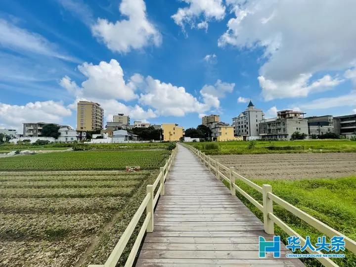 屿北村：“一村十园”绿色生态景，道不尽殷殷桑梓情