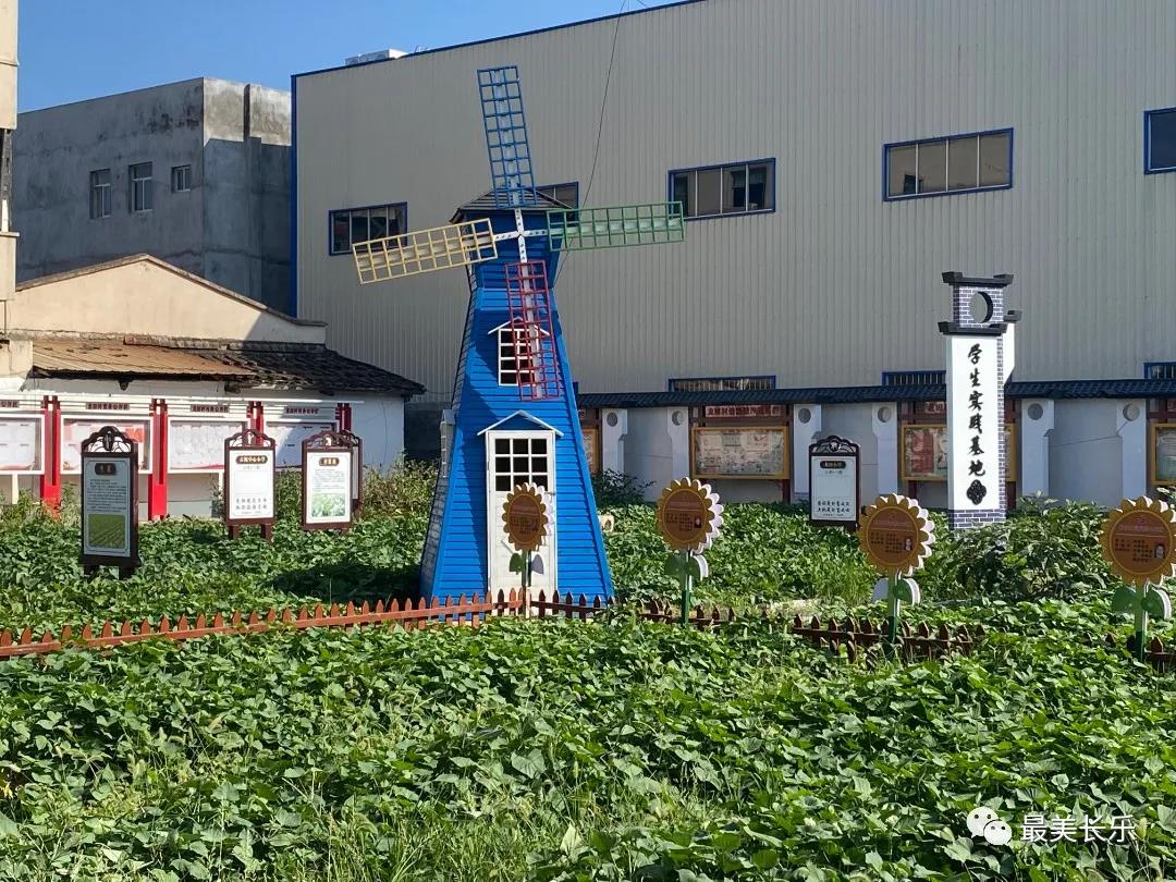 观赏、休闲、体验......龙田村研学基地年底将投入使用