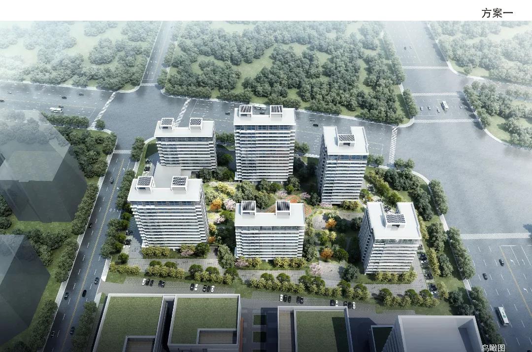 攻坚120天丨总投资78亿元！滨海新城10个项目“齐发”……