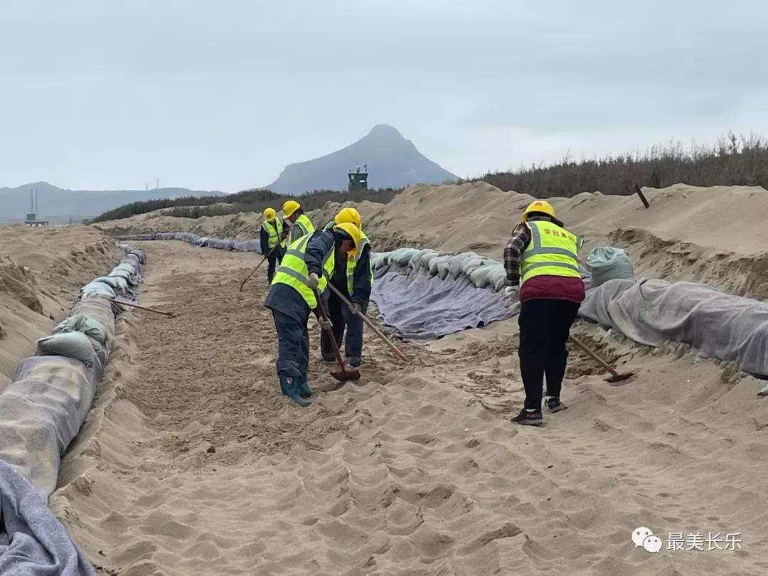 攻坚120天丨下沙海滩修复与养护工程二期进展顺利