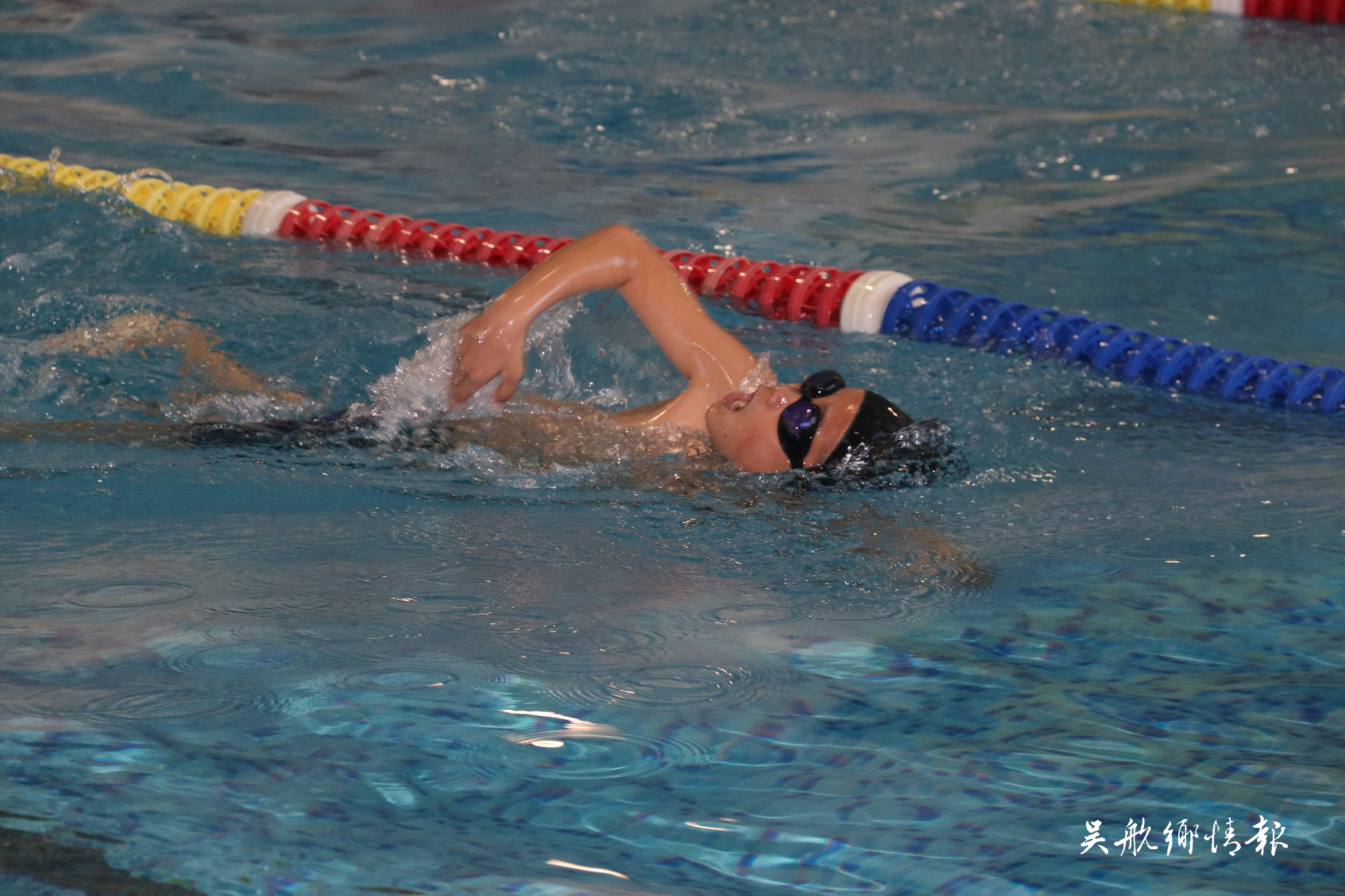 区第九届全民健身运动会中小学生游泳比赛在长乐职专游泳馆开赛