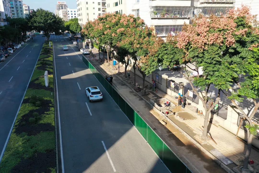朝阳路：路灯改造暖民心 点亮居民回家路