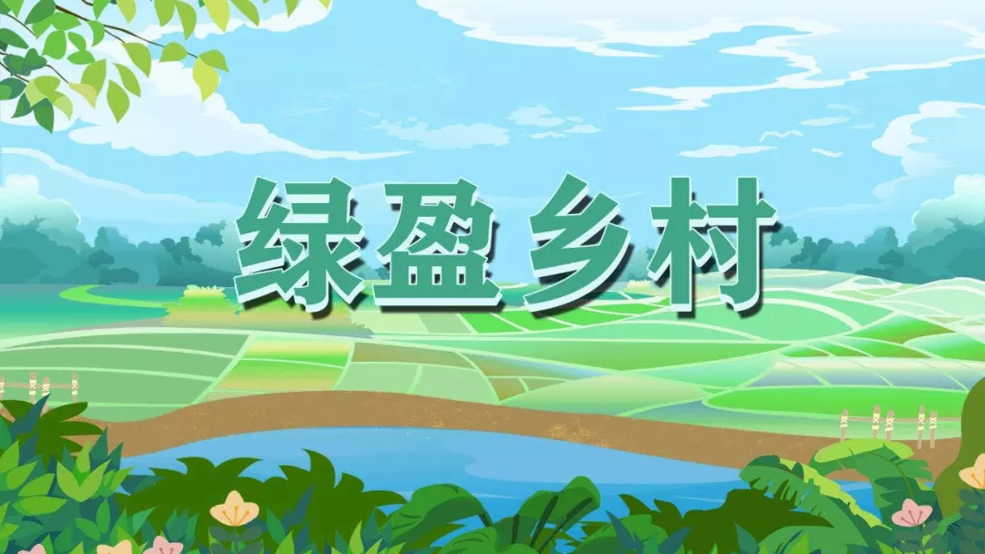 长乐3个乡村上榜！福建省第二批高级版“绿盈乡村”名单公布