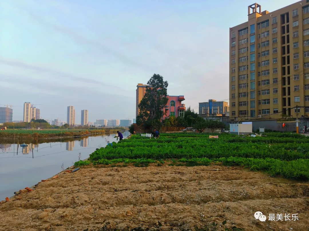 文武砂街道整治“沉疴旧疾” 片区“舒筋展骨”展新颜