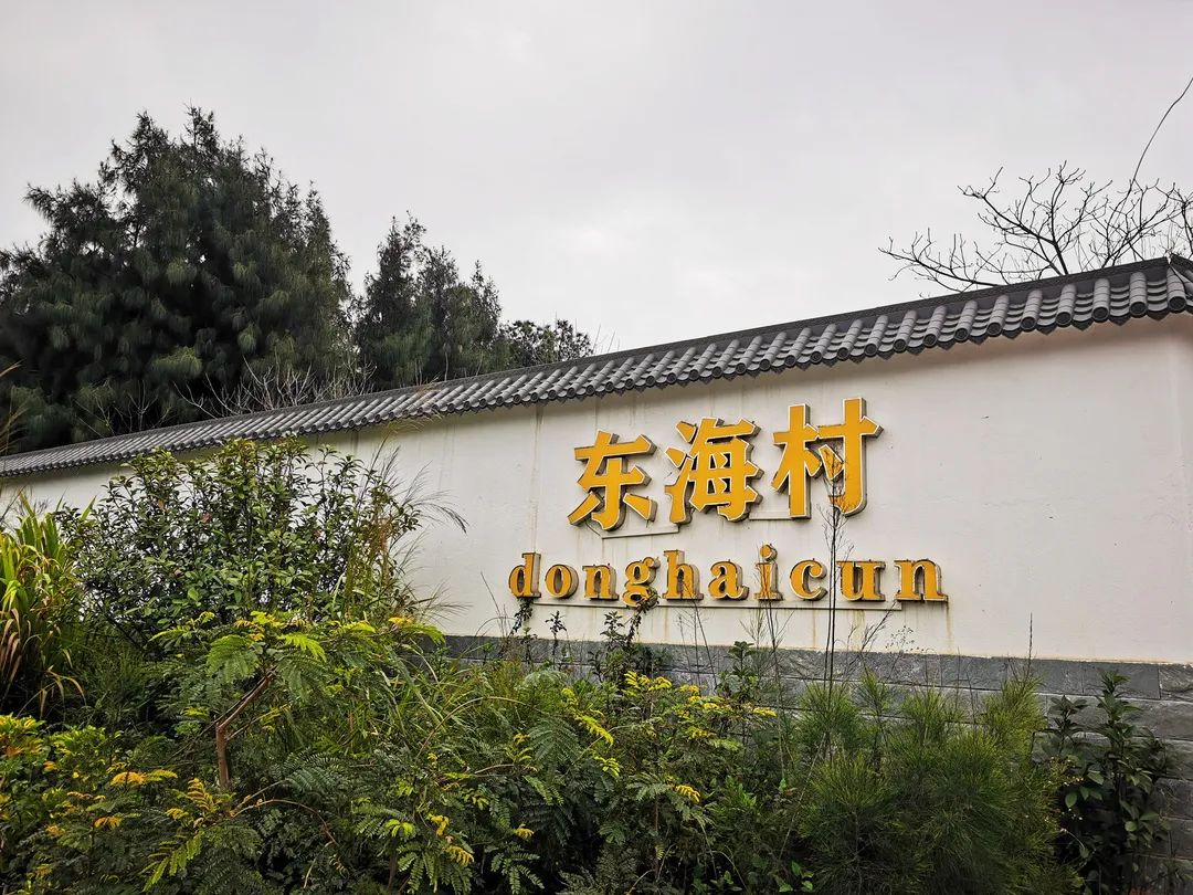 改革动态|乡村振兴绘新卷 魅力东海留乡愁