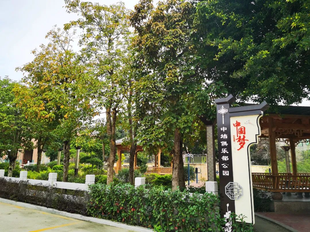 改革动态|乡村振兴绘新卷 魅力东海留乡愁