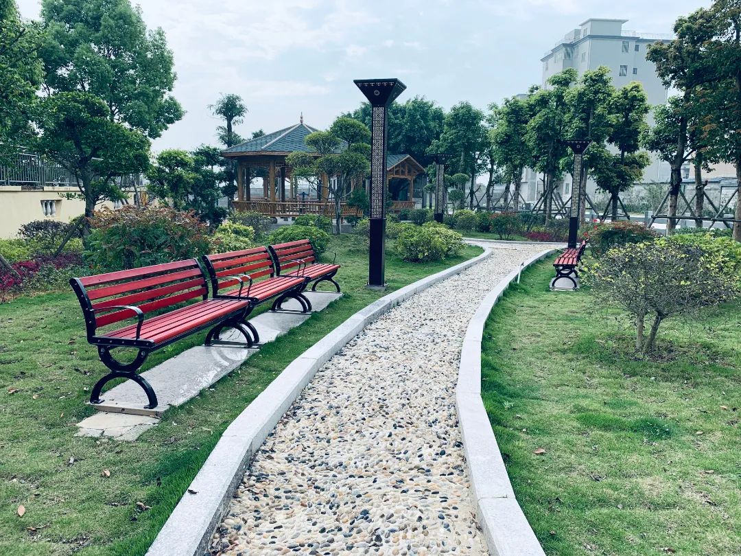 改革动态|乡村振兴绘新卷 魅力东海留乡愁