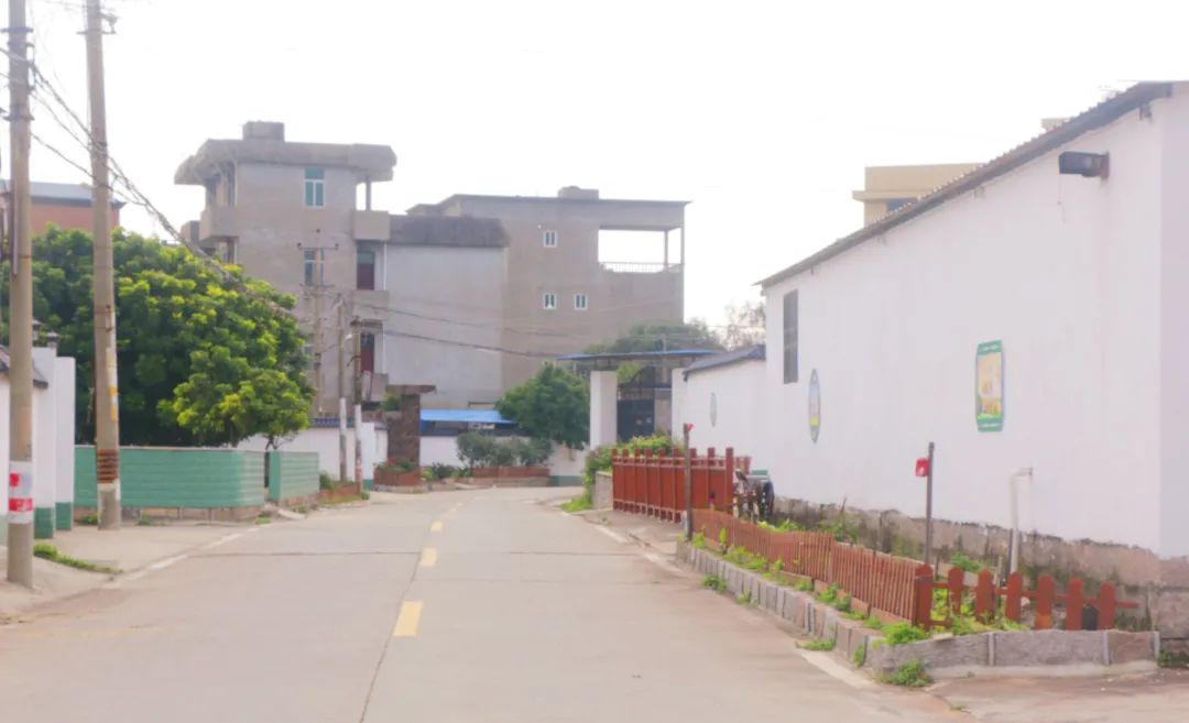 改革动态|乡村振兴绘新卷 魅力东海留乡愁