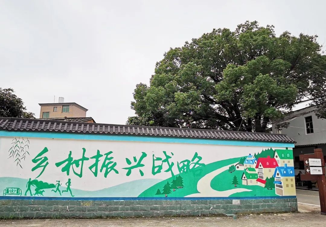改革动态|乡村振兴绘新卷 魅力东海留乡愁