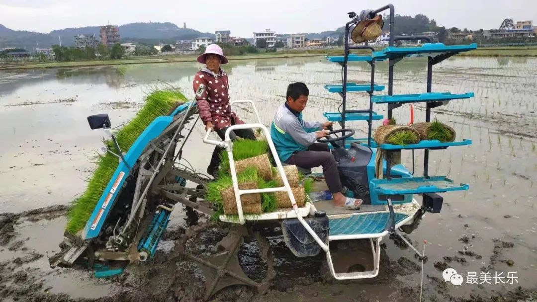 长乐春耕备种足，农民购种田地忙……