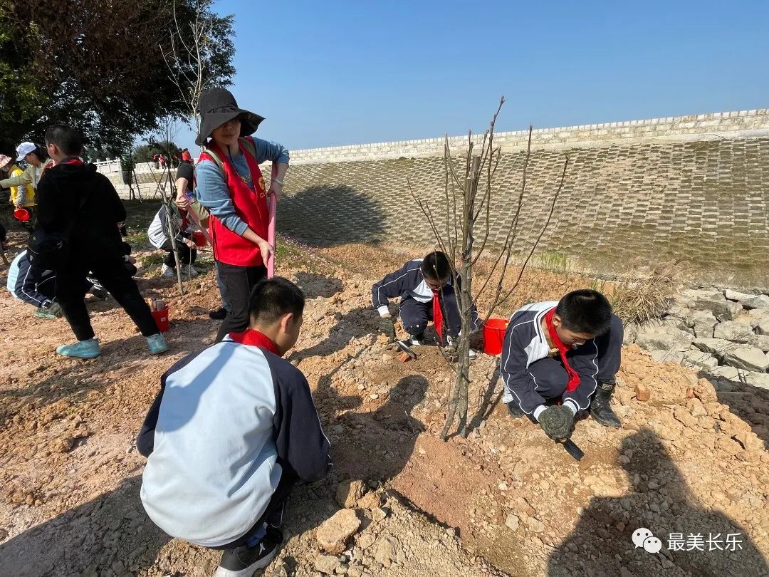 不负春光植树忙 生态长乐添新绿！