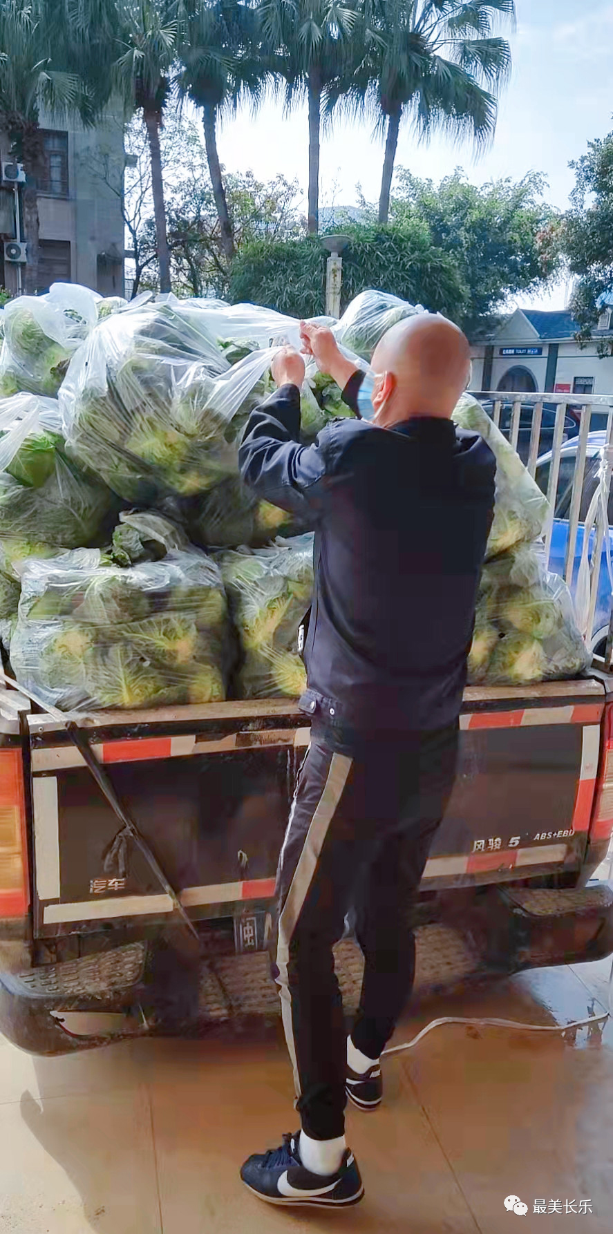 两千多斤爱心蔬菜免费送！背后的故事很暖心