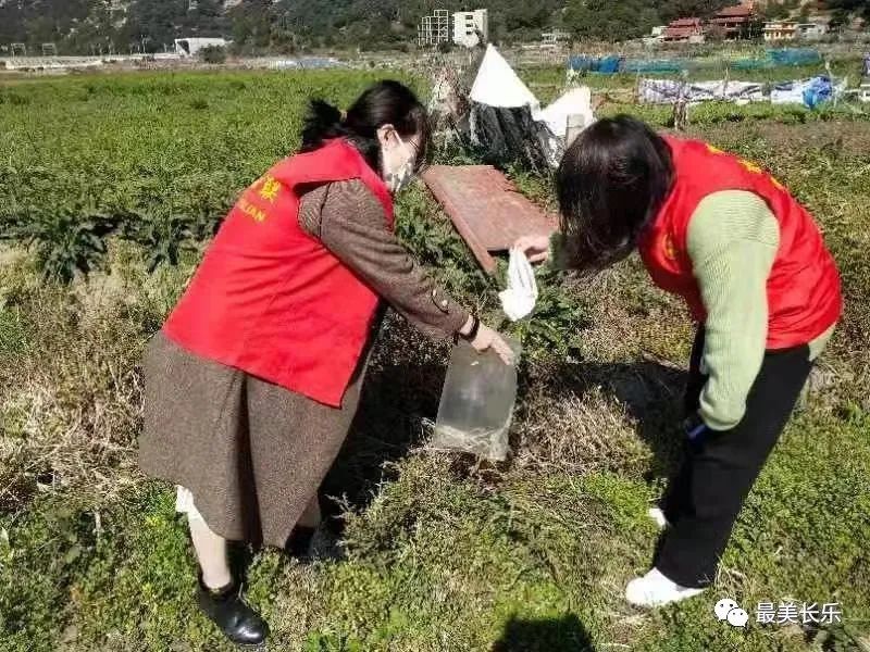 1100余人次，回收近630公斤！我区田园清洁行动让田园更美丽