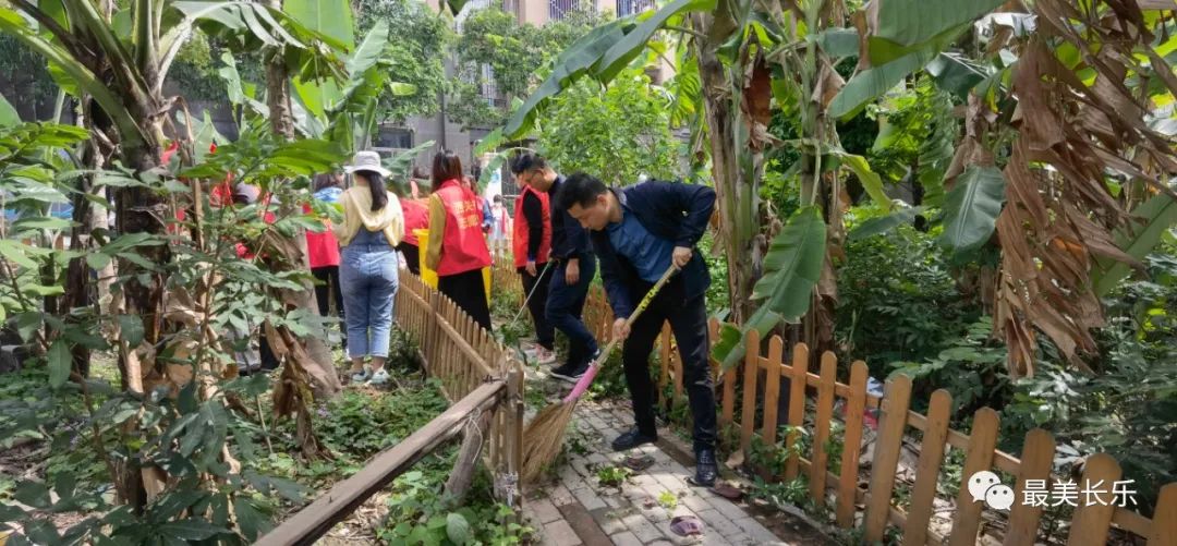 改革动态|水清岸绿景美！这个街道治水成效棒棒的……