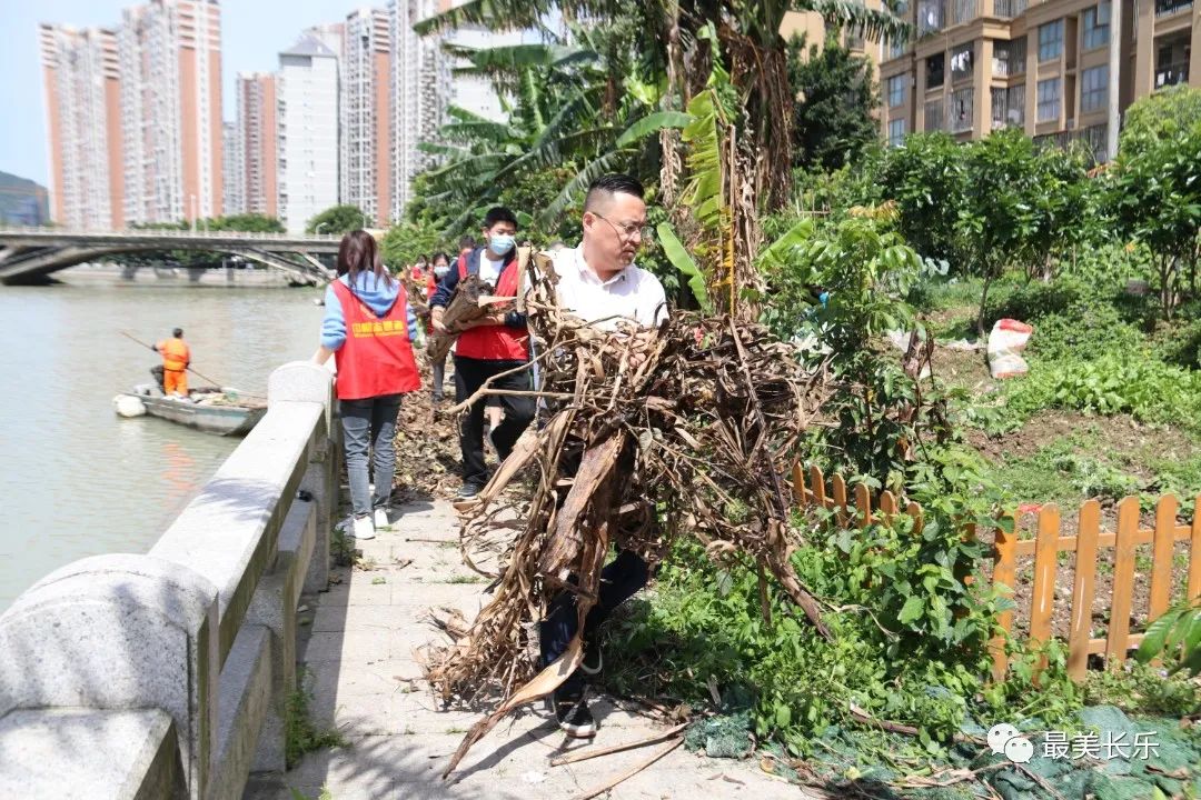 改革动态|水清岸绿景美！这个街道治水成效棒棒的……