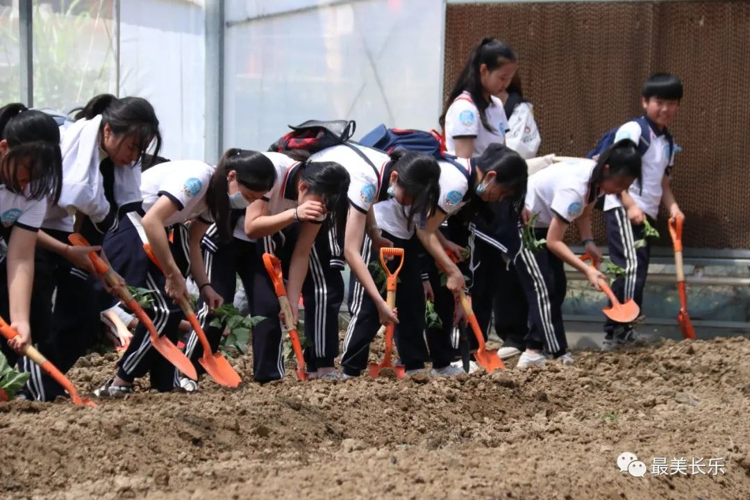 种地瓜、挖土豆......长乐这个研学基地把劳动课堂搬进地里