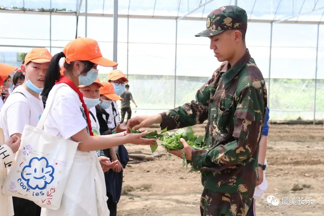 种地瓜、挖土豆......长乐这个研学基地把劳动课堂搬进地里