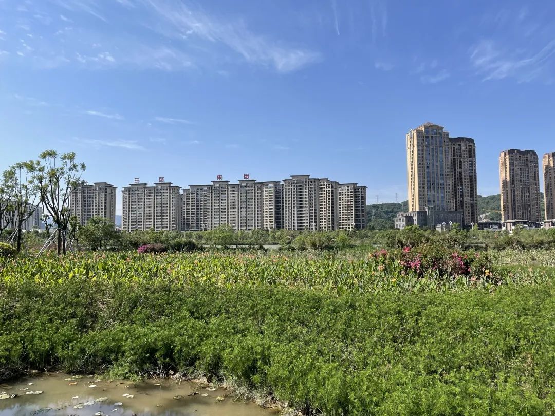 打卡长乐“绿肺”！尽享惬意深呼吸