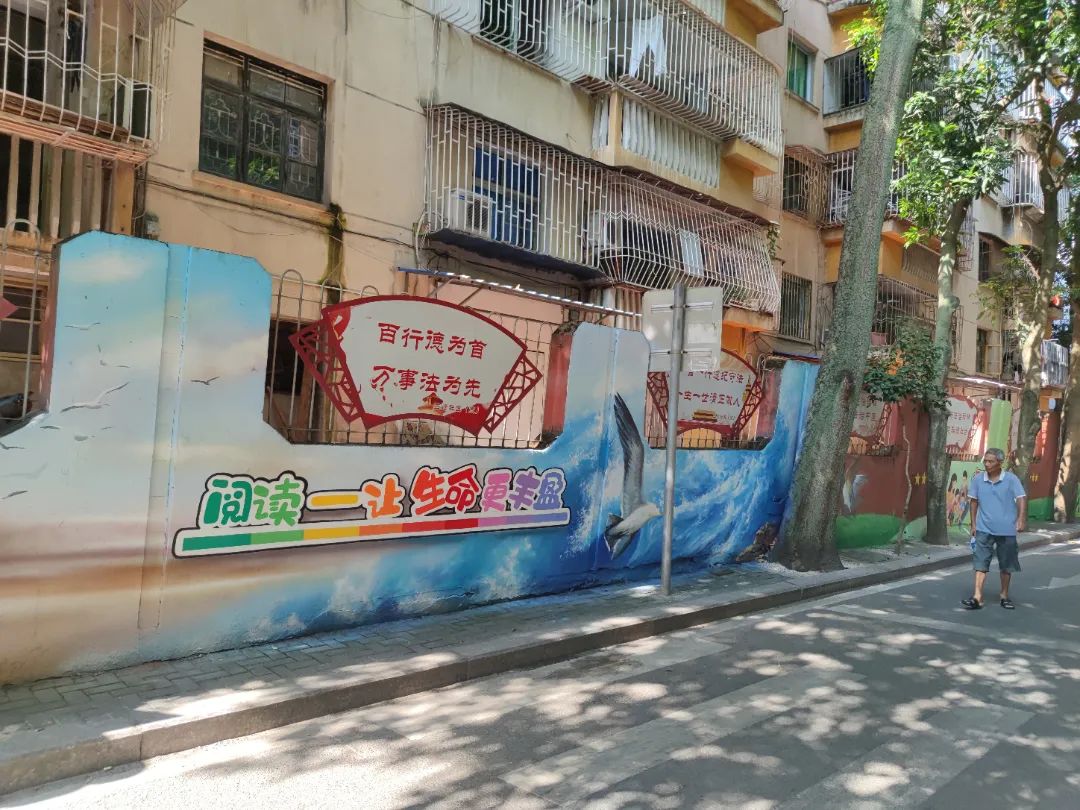 改革动态|市民点赞！背街小巷彩绘出“圈”！