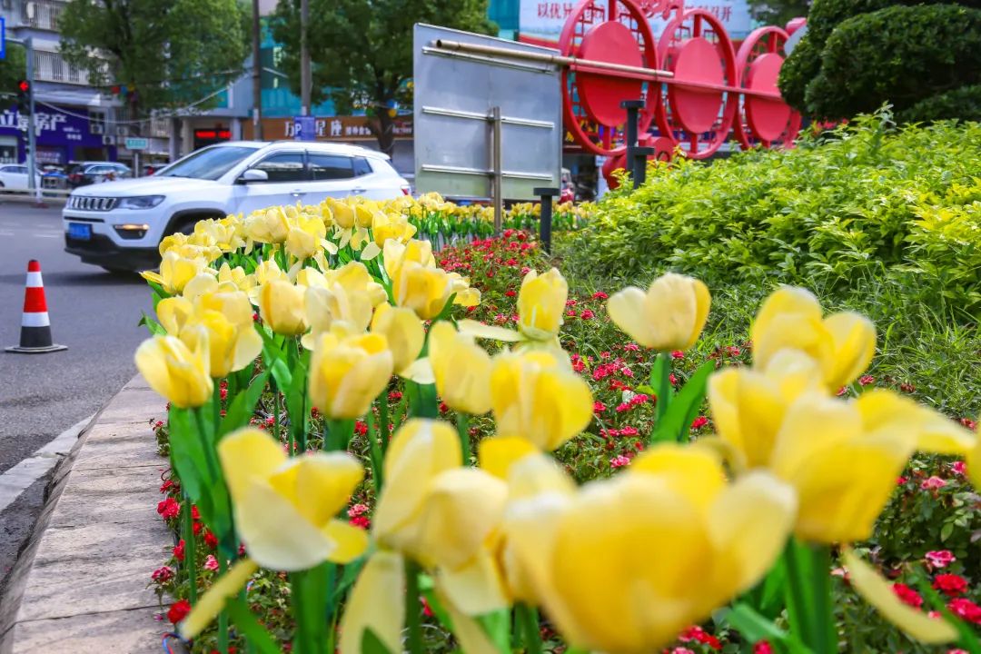 改革动态|氛围感拉满！长乐街头这么美，为的是……