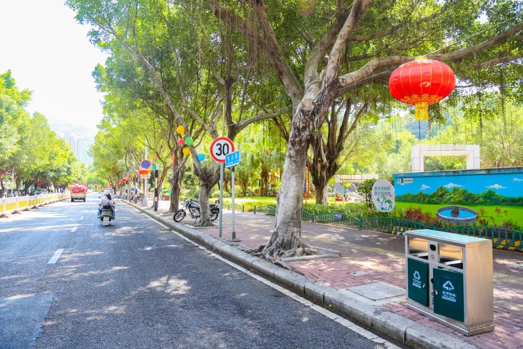 改革动态|氛围感拉满！长乐街头这么美，为的是……