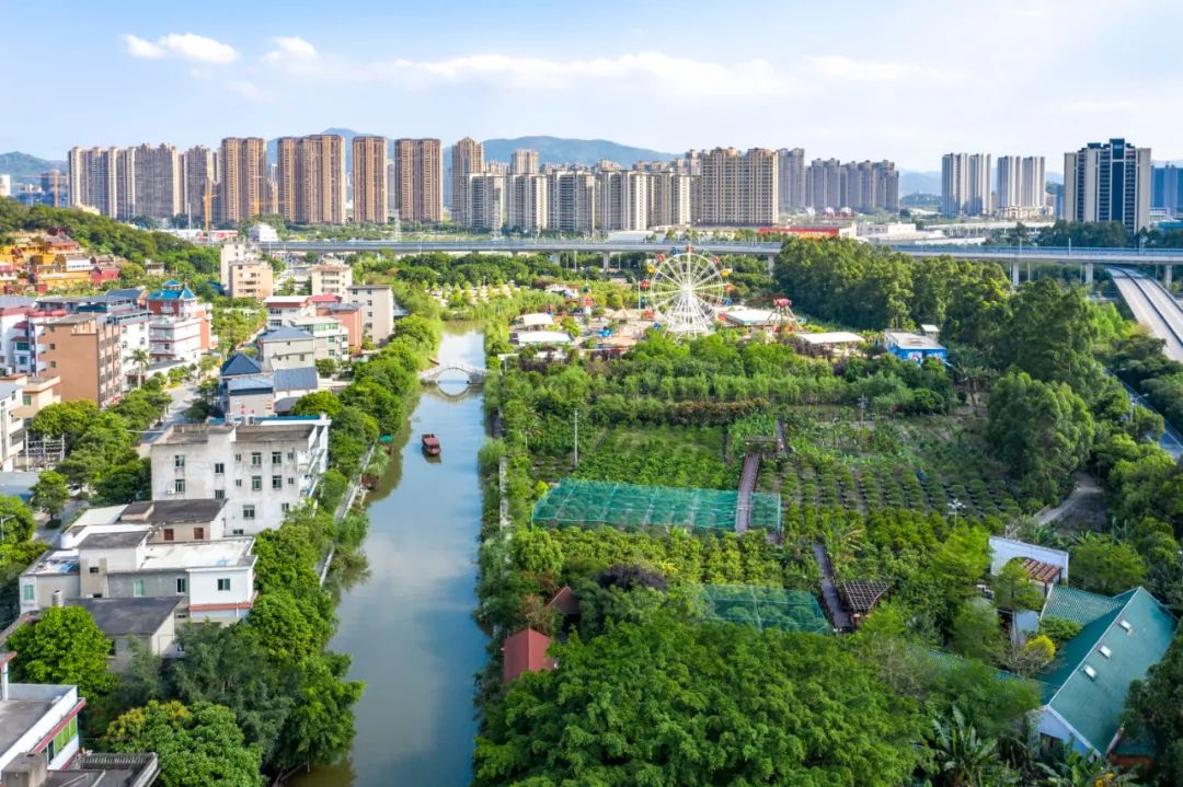 长乐：加快建设现代化国际城市重要窗口