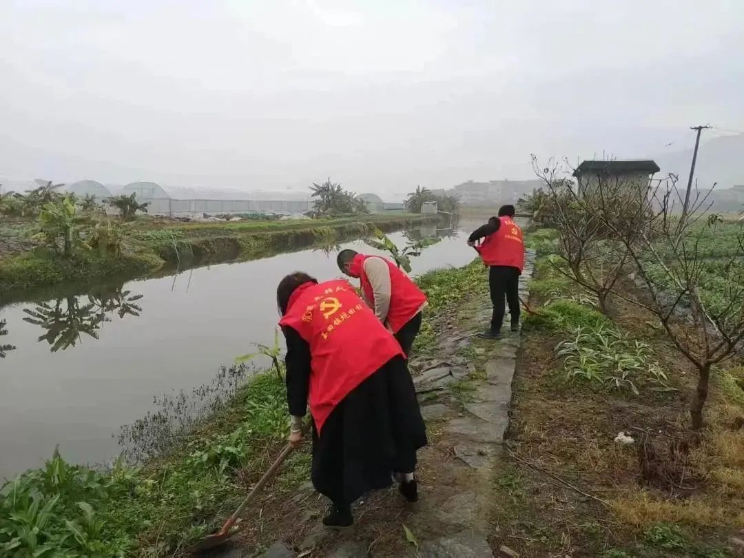 全员行动！长乐“护河爱水、清洁家园”行动不停歇