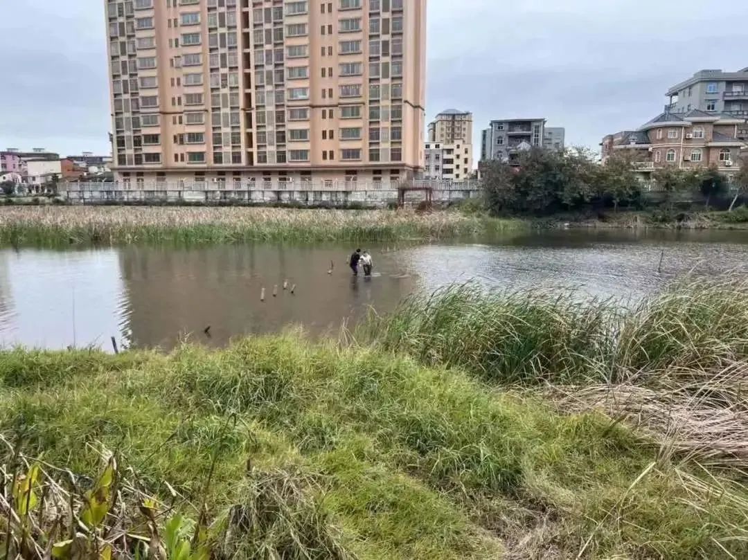 惊险！女子跳湖轻生！危机时刻……