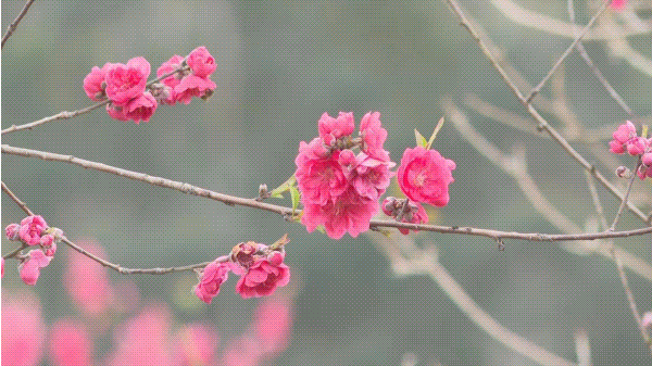 “花花世界”！你想要的都在这里！