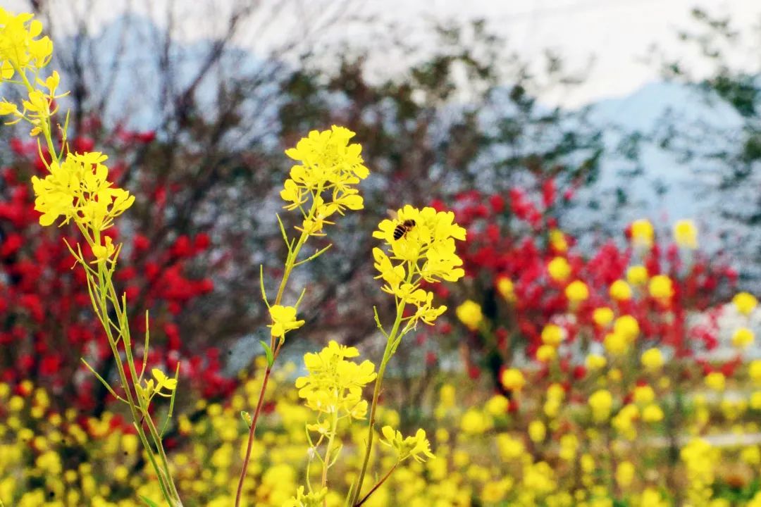 “花花世界”！你想要的都在这里！