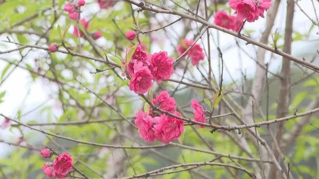 “花花世界”！你想要的都在这里！