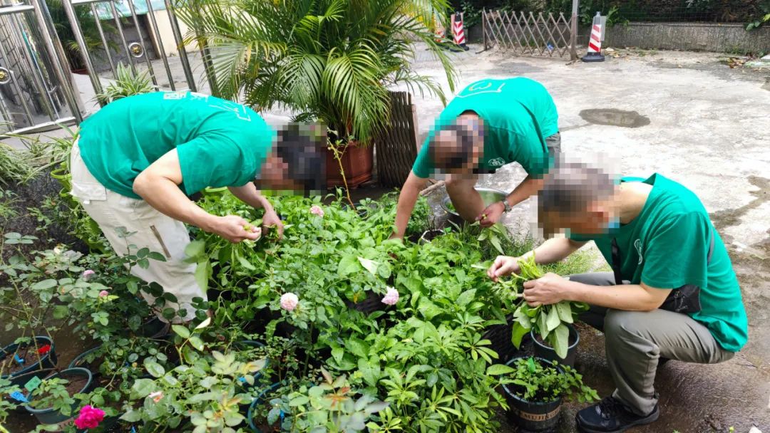 《人民日报》头版头条！为长乐这项工作点赞！