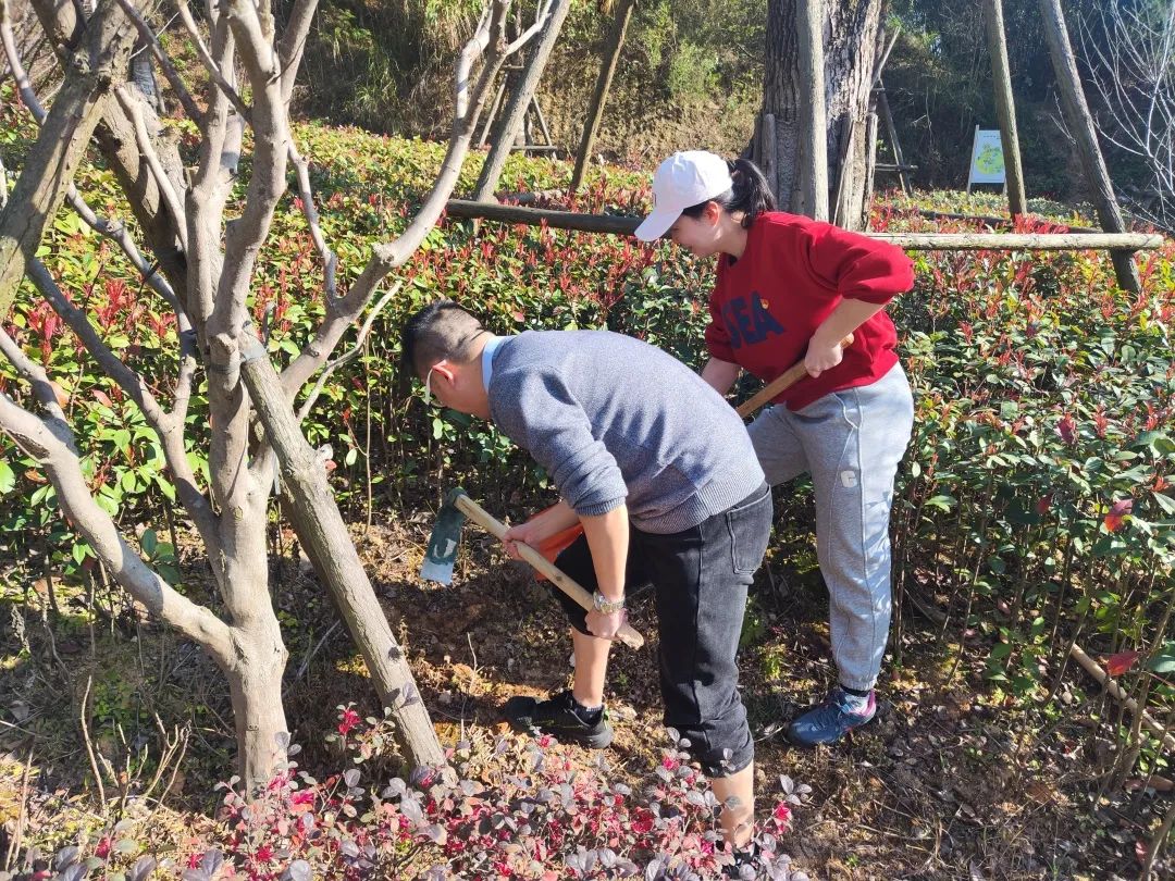 “植”此青绿，在长乐我们这样拥抱春天......