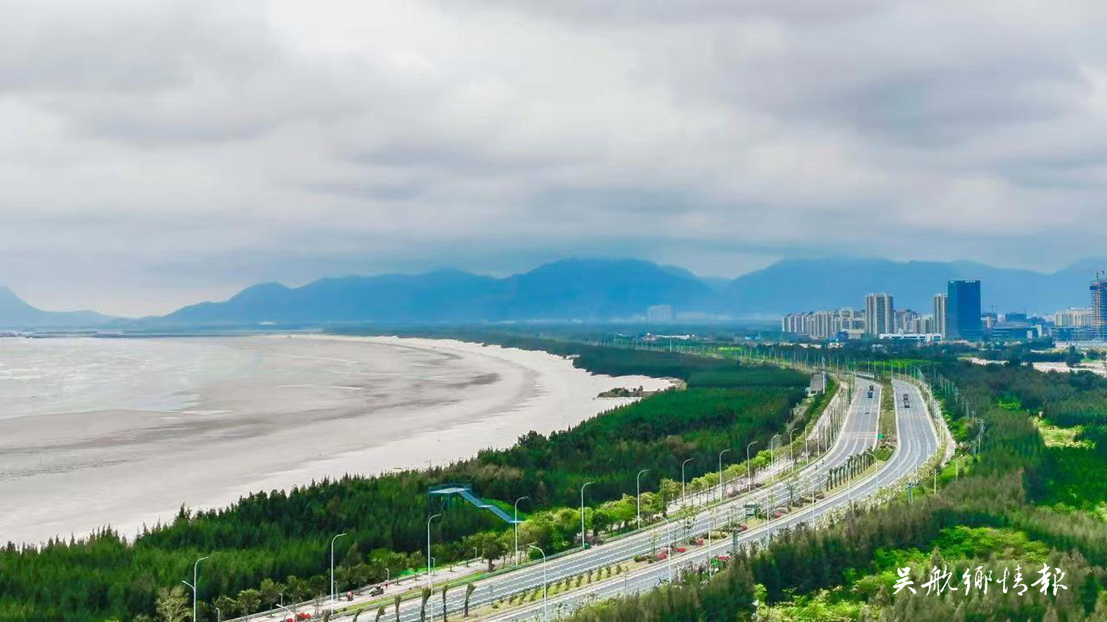 滨海新城将新增300亩防护林