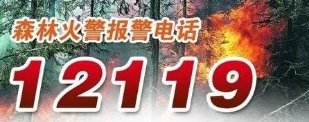 森林防火正当时，这些知识须知道！