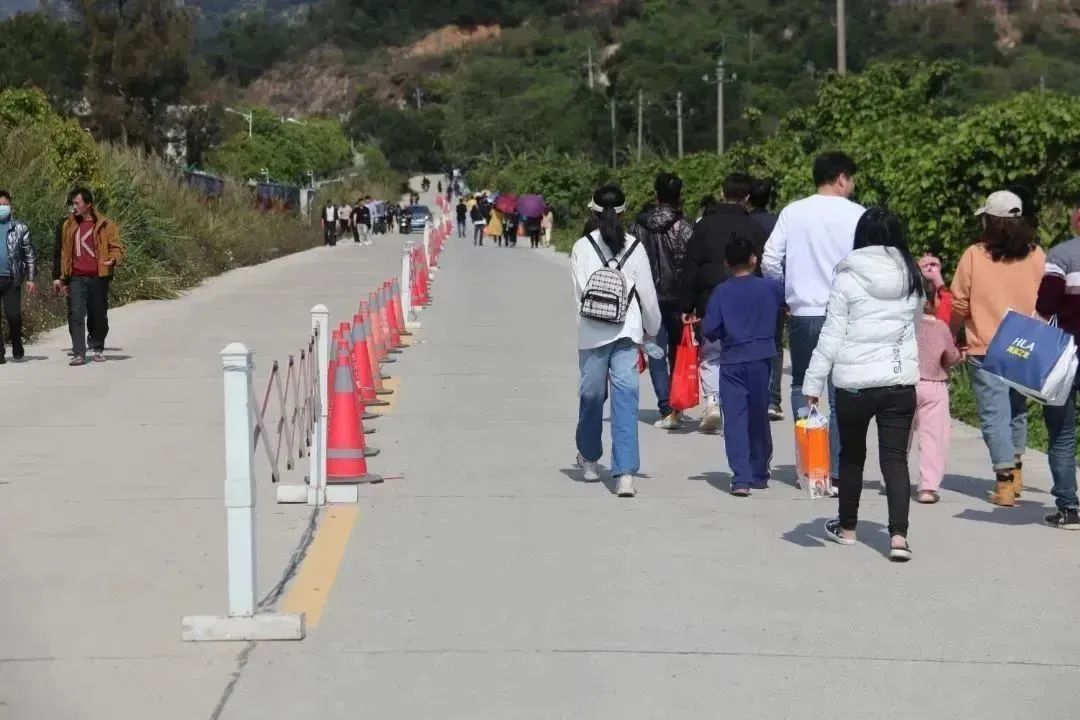 【网络中国节·清明】安全劝导、分流引导，今年清明长乐这样做！