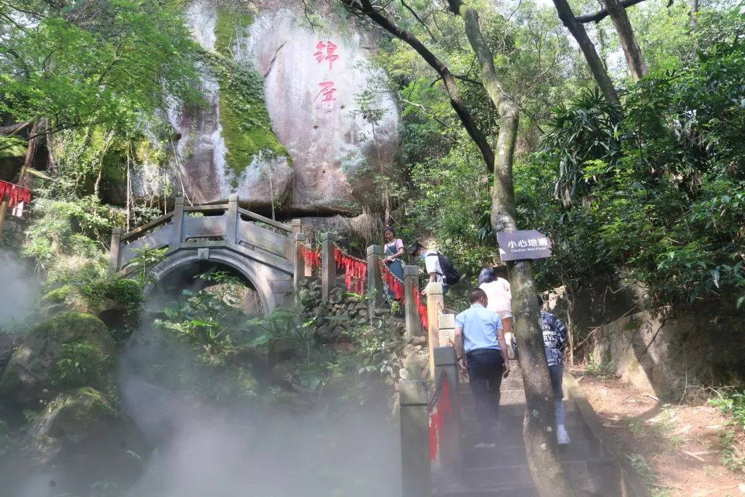 “五一”带你穿越侏罗纪！一大波恐龙今天空降这里……