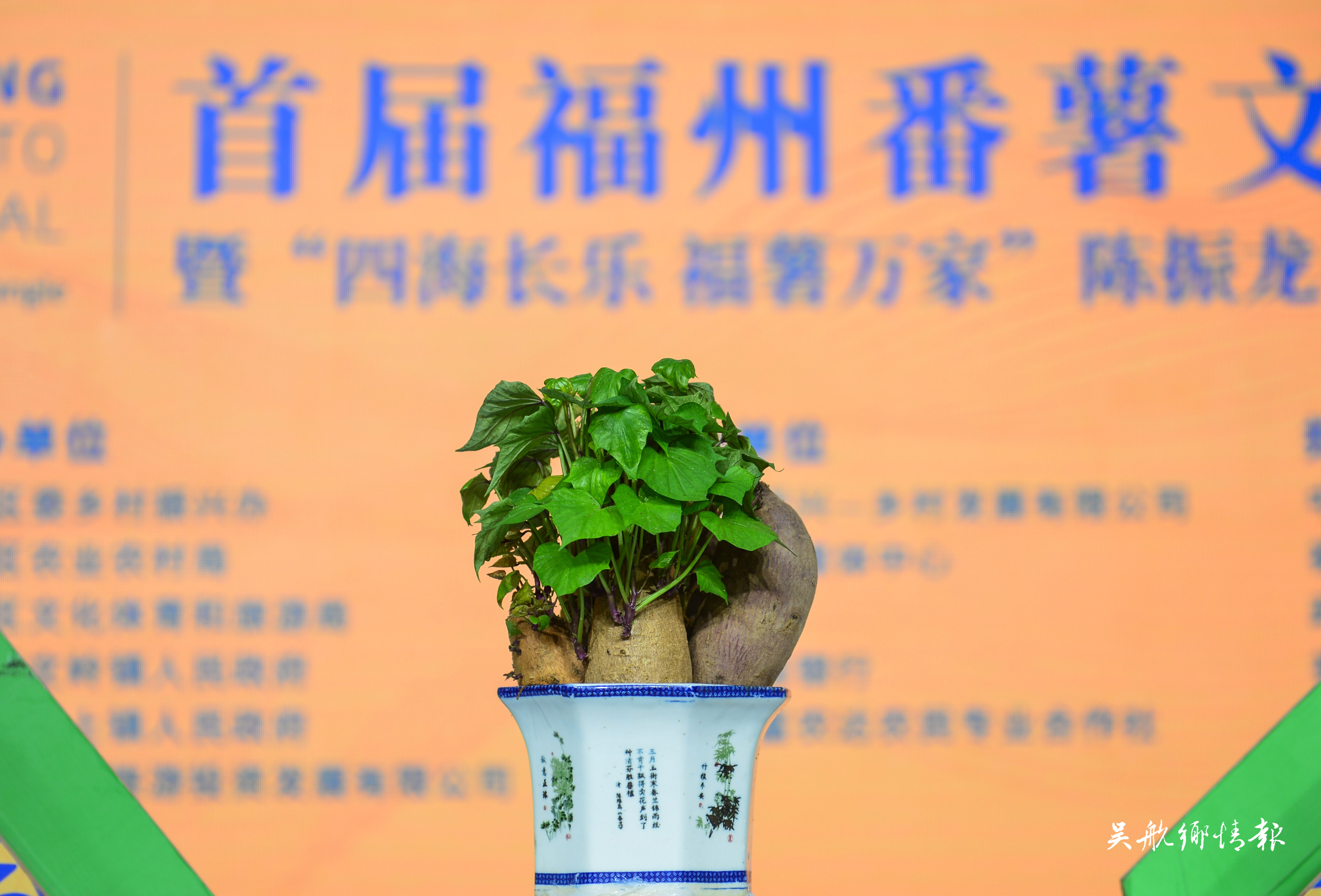 长乐番薯，“传奇”故事还在继续
