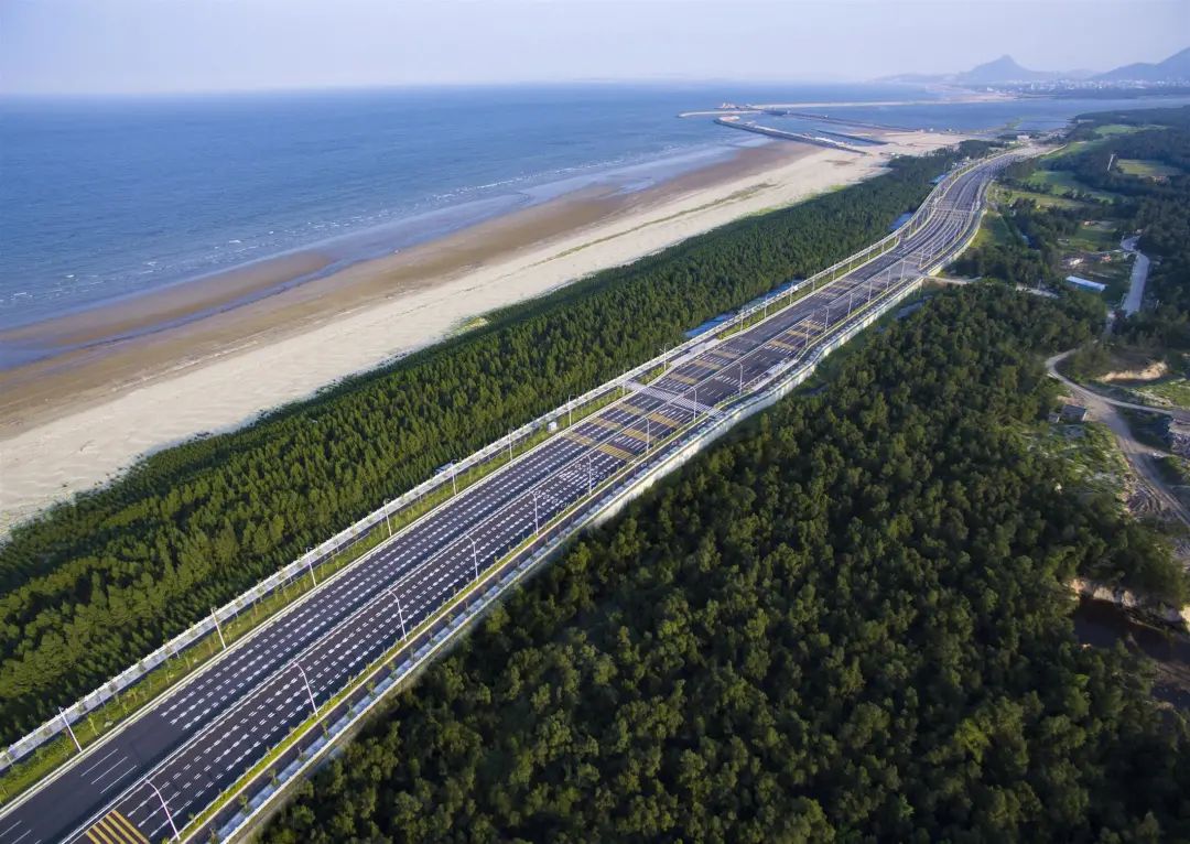 29.5万亩！长乐沿海防护林充“植”成功！